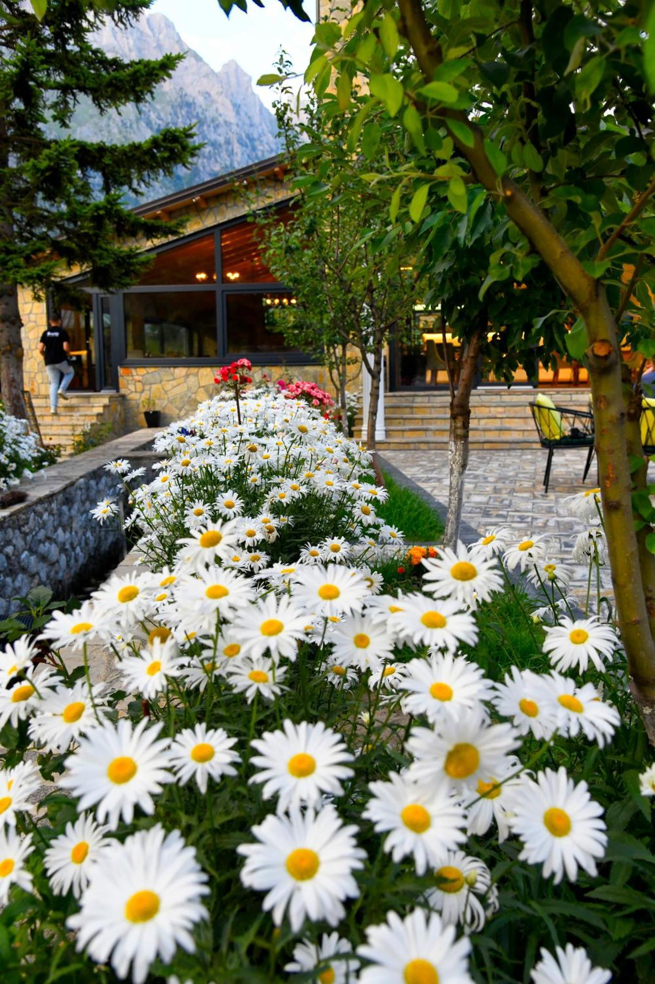 Breezy Hotel Valbona Exteriör bild